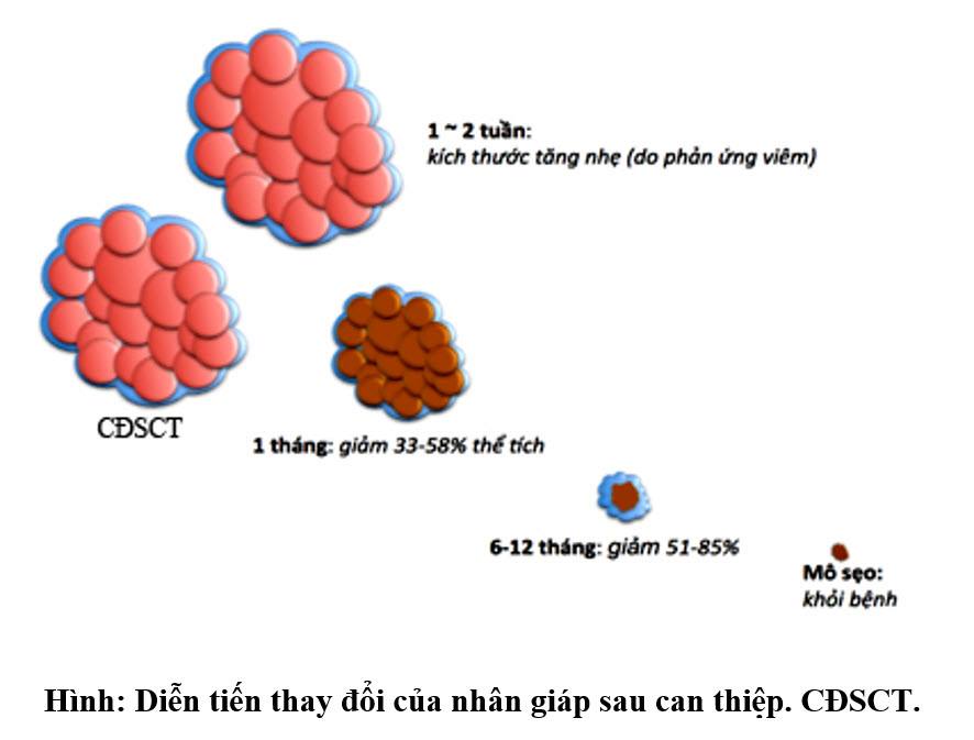 Bệnh viện Đại học Y Dược